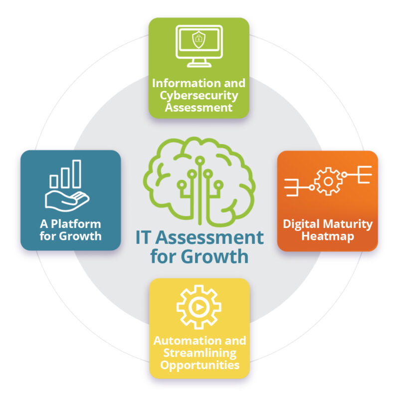 IT assessment